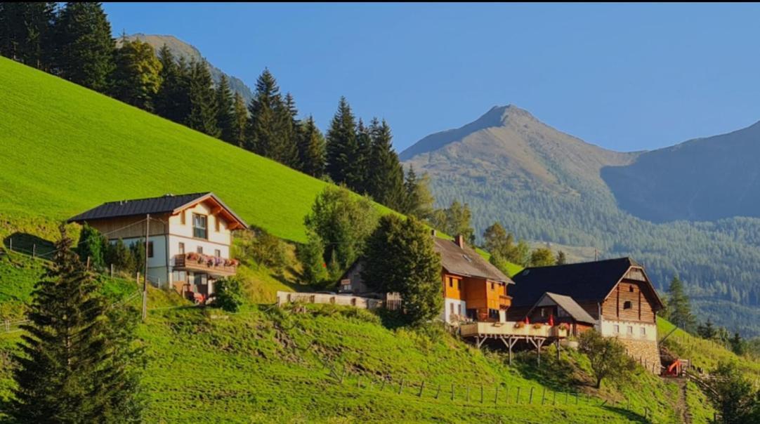 Chalet Leo Michaelerberg Kültér fotó